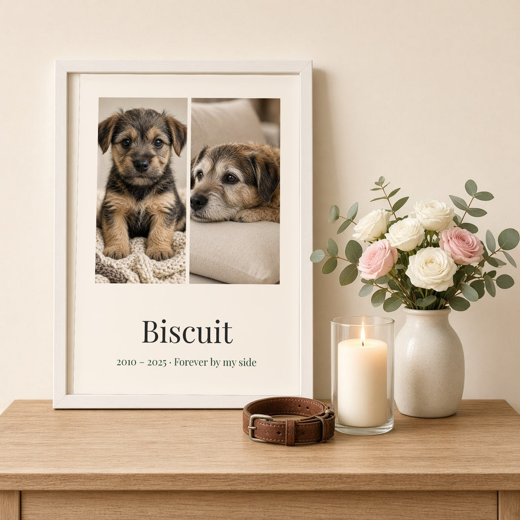 Memorial version in a white frame for Biscuit the border terrier, 2010 – 2025 · Forever by my side, with a candle, roses and a leather collar – Example design – your photos are used